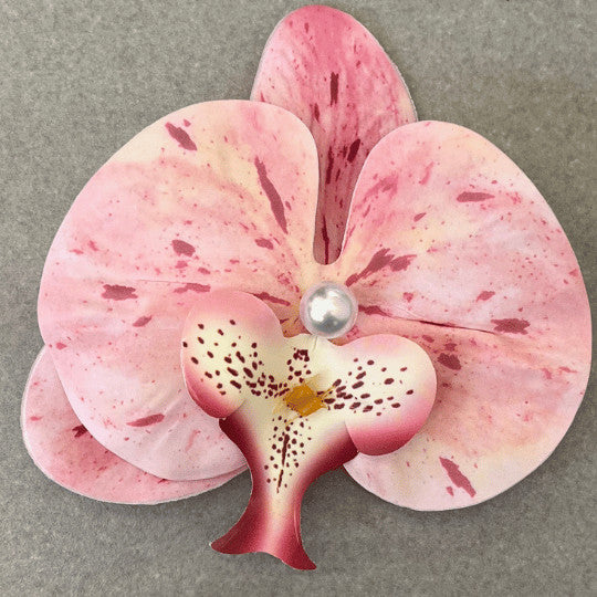 Choose your Flower